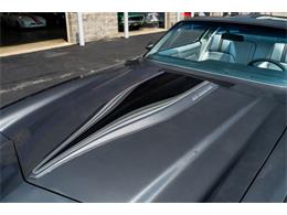 1981 Chevrolet Camaro Z28 (CC-2090434) for sale in St. Charles, Missouri
