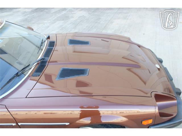 1979 Datsun 280ZX (CC-2094378) for sale in Houston, Texas