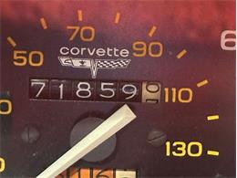 1981 Chevrolet Corvette (CC-2094437) for sale in Depew, New York