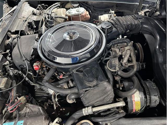 1981 Chevrolet Corvette (CC-2094437) for sale in Depew, New York