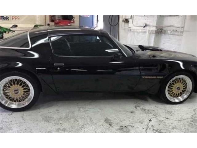 1979 Pontiac Firebird (CC-2094438) for sale in Cadillac, Michigan
