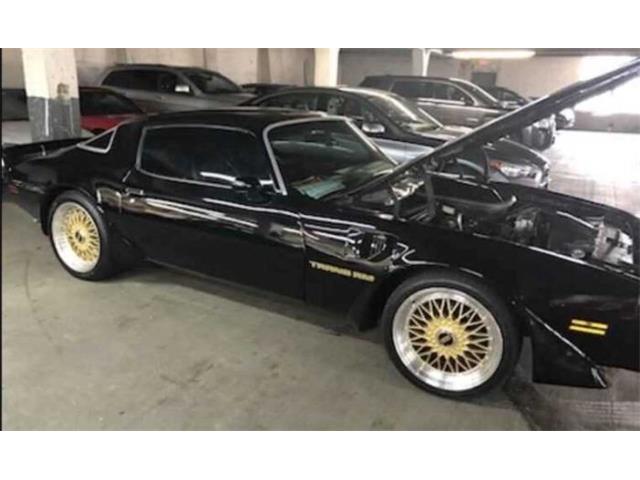 1979 Pontiac Firebird (CC-2094438) for sale in Cadillac, Michigan
