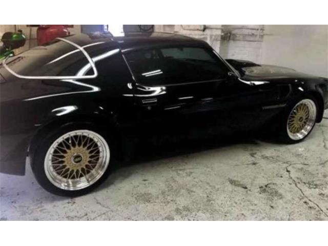 1979 Pontiac Firebird (CC-2094438) for sale in Cadillac, Michigan
