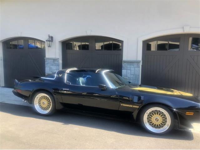 1979 Pontiac Firebird (CC-2094438) for sale in Cadillac, Michigan