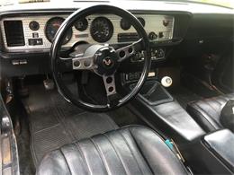 1979 Pontiac Firebird (CC-2094438) for sale in Cadillac, Michigan