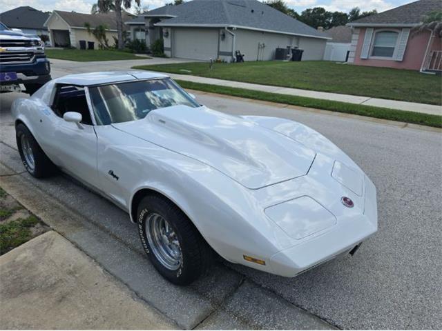 1974 Chevrolet Corvette (CC-2094445) for sale in Cadillac, Michigan