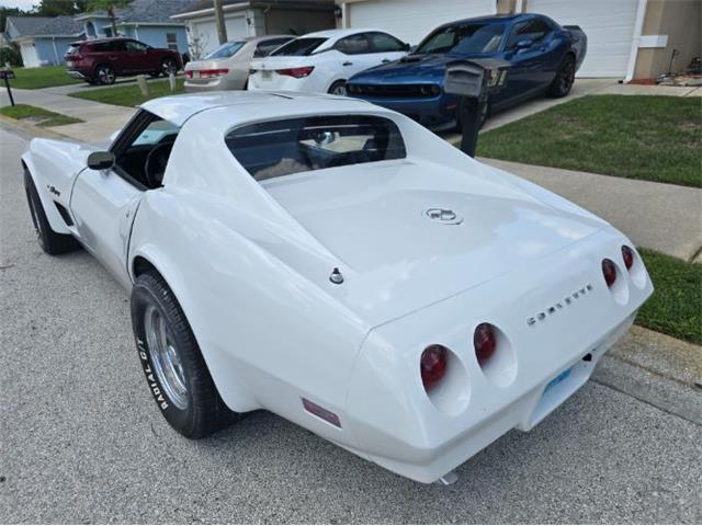 1974 Chevrolet Corvette (CC-2094445) for sale in Cadillac, Michigan