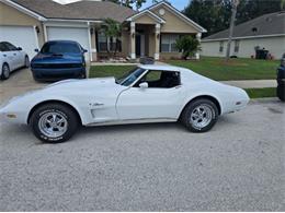 1974 Chevrolet Corvette (CC-2094445) for sale in Cadillac, Michigan