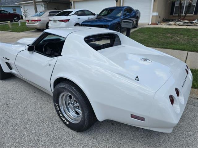 1974 Chevrolet Corvette (CC-2094445) for sale in Cadillac, Michigan