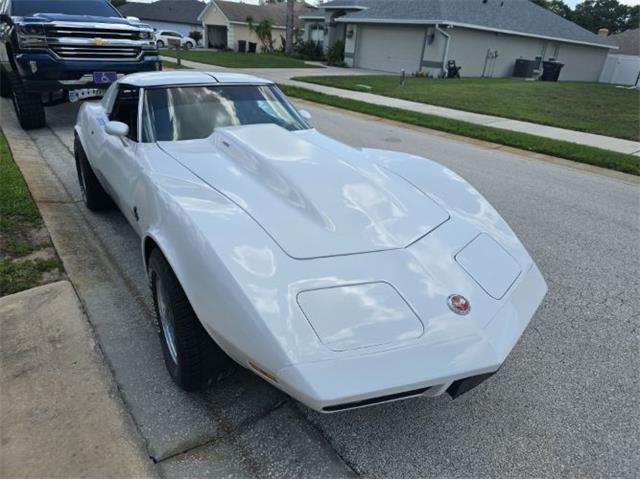 1974 Chevrolet Corvette (CC-2094445) for sale in Cadillac, Michigan