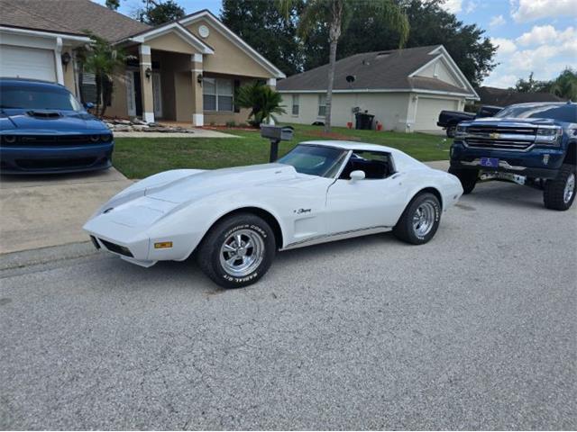 1974 Chevrolet Corvette (CC-2094445) for sale in Cadillac, Michigan