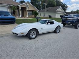 1974 Chevrolet Corvette (CC-2094445) for sale in Cadillac, Michigan
