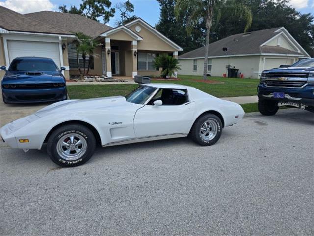 1974 Chevrolet Corvette (CC-2094445) for sale in Cadillac, Michigan