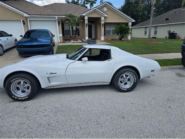 1974 Chevrolet Corvette (CC-2094445) for sale in Cadillac, Michigan