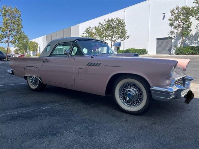 1957 Ford Thunderbird (CC-2094452) for sale in Cadillac, Michigan