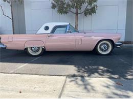 1957 Ford Thunderbird (CC-2094452) for sale in Cadillac, Michigan