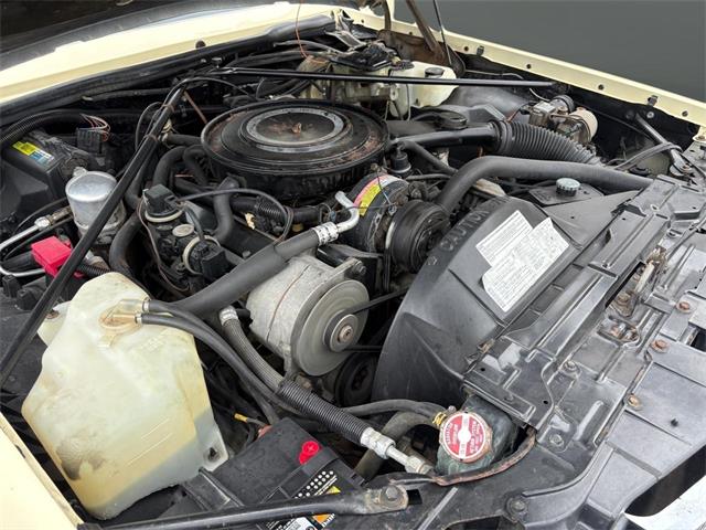 1984 Cadillac Seville (CC-2094592) for sale in Nashville, Illinois