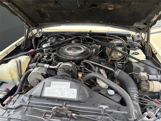 1984 Cadillac Seville (CC-2094592) for sale in Nashville, Illinois
