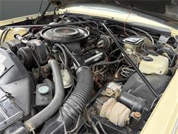 1984 Cadillac Seville (CC-2094592) for sale in Nashville, Illinois
