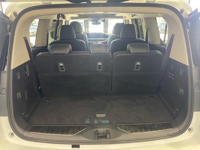 2025 Infiniti QX80 (CC-2090465) for sale in Jacksonville, Florida