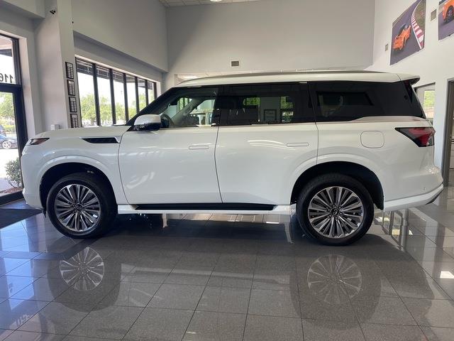 2025 Infiniti QX80 (CC-2090465) for sale in Jacksonville, Florida