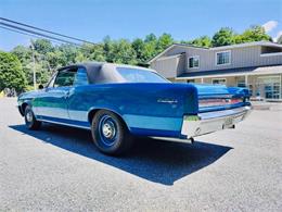 1964 Pontiac GTO (CC-2094653) for sale in Clarksburg, Maryland