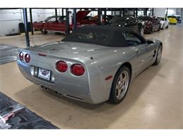 2001 Chevrolet Corvette (CC-2094691) for sale in Downers Grove, Illinois