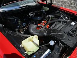 1975 Chevrolet Caprice (CC-2094749) for sale in Greenwood, Indiana