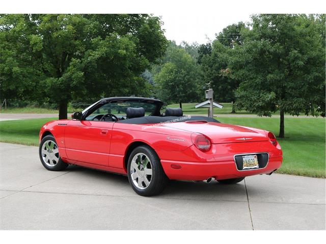 2003 Ford Convertible (CC-2094761) for sale in Howell, Michigan