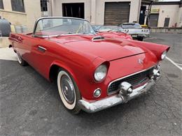 1955 Ford Thunderbird (CC-2094773) for sale in Penndel, Pennsylvania