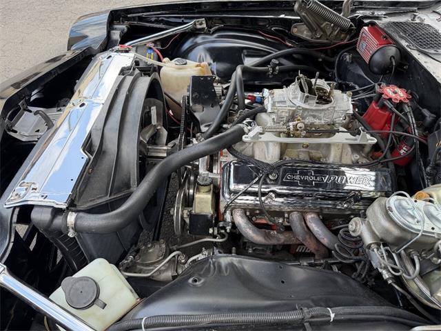 1981 Chevrolet Camaro (CC-2094775) for sale in Penndel, Pennsylvania