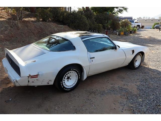 1981 Pontiac Firebird Trans Am (CC-2094794) for sale in El Cajon, California