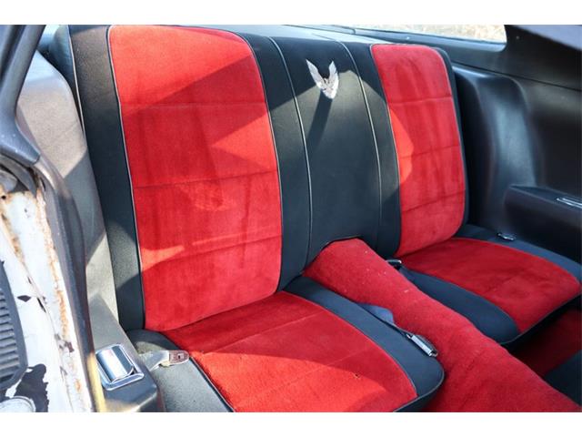 1981 Pontiac Firebird Trans Am (CC-2094794) for sale in El Cajon, California