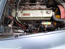 1960 Austin-Healey 3000 (CC-2094842) for sale in Christiansburg, Virginia
