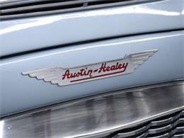 1960 Austin-Healey 3000 (CC-2094842) for sale in Christiansburg, Virginia