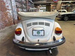 1979 Volkswagen Beetle (CC-2090490) for sale in Reading, Pennsylvania