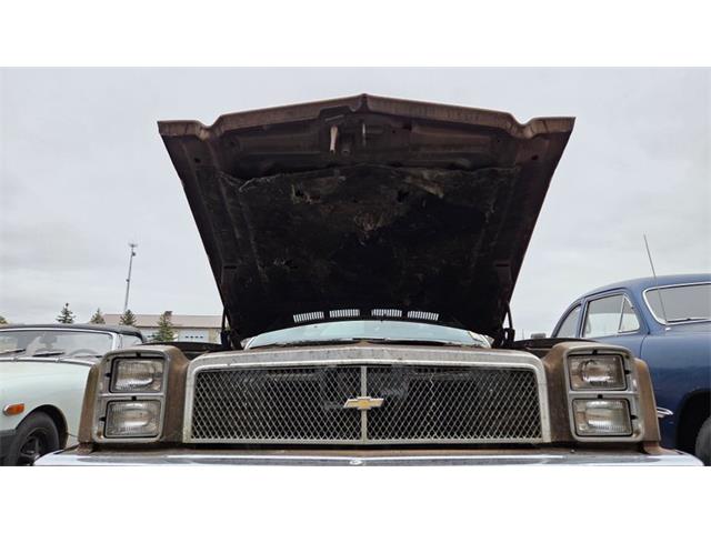 1976 Chevrolet El Camino (CC-2095077) for sale in Mankato, Minnesota
