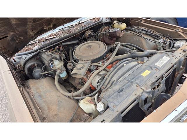 1976 Chevrolet El Camino (CC-2095077) for sale in Mankato, Minnesota