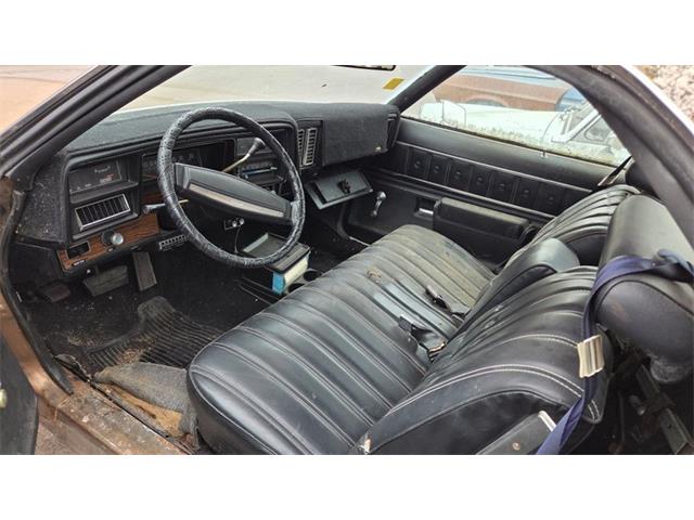 1976 Chevrolet El Camino (CC-2095077) for sale in Mankato, Minnesota