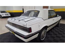 1985 Pontiac Sunbird (CC-2095084) for sale in Mankato, Minnesota