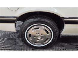 1985 Pontiac Sunbird (CC-2095084) for sale in Mankato, Minnesota