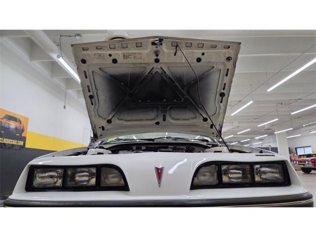 1985 Pontiac Sunbird (CC-2095084) for sale in Mankato, Minnesota