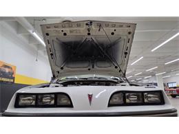 1985 Pontiac Sunbird (CC-2095084) for sale in Mankato, Minnesota
