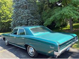 1966 Pontiac Tempest (CC-2095128) for sale in Cadillac, Michigan