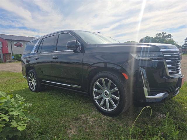 2021 Cadillac Escalade (CC-2090513) for sale in Spirit Lake, Iowa
