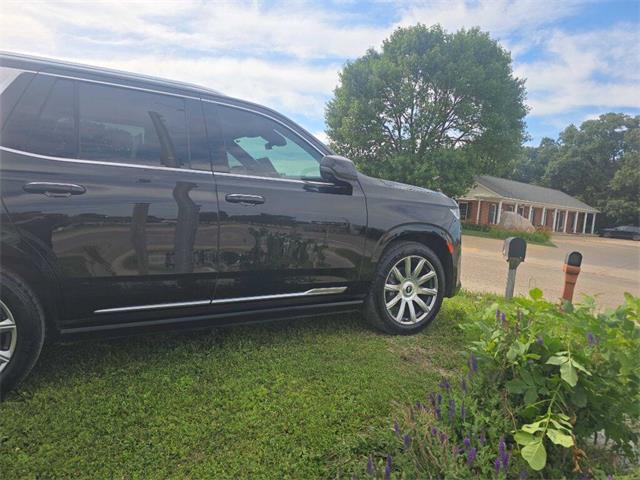 2021 Cadillac Escalade (CC-2090513) for sale in Spirit Lake, Iowa