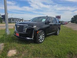 2021 Cadillac Escalade (CC-2090513) for sale in Spirit Lake, Iowa