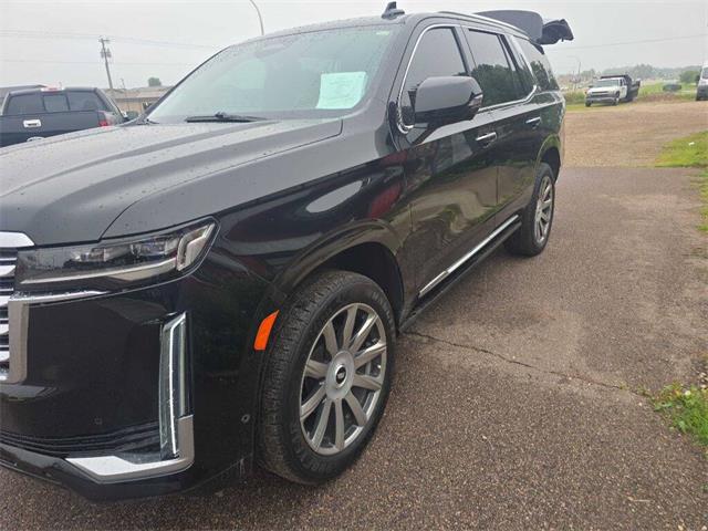 2021 Cadillac Escalade (CC-2090513) for sale in Spirit Lake, Iowa