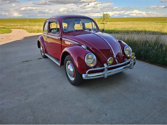 1961 Volkswagen Beetle (CC-2095140) for sale in Cadillac, Michigan