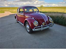 1961 Volkswagen Beetle (CC-2095140) for sale in Cadillac, Michigan